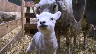 Bij De Biologische Boer. Vwo Xtra Brugklas