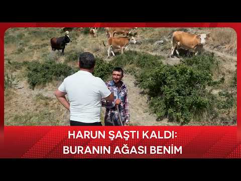 Harun Şaştı Kaldı: Buranın Ağası Benim. 15 Milyonluk Adamım