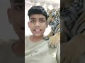 short #phonkmusic ₹tiger