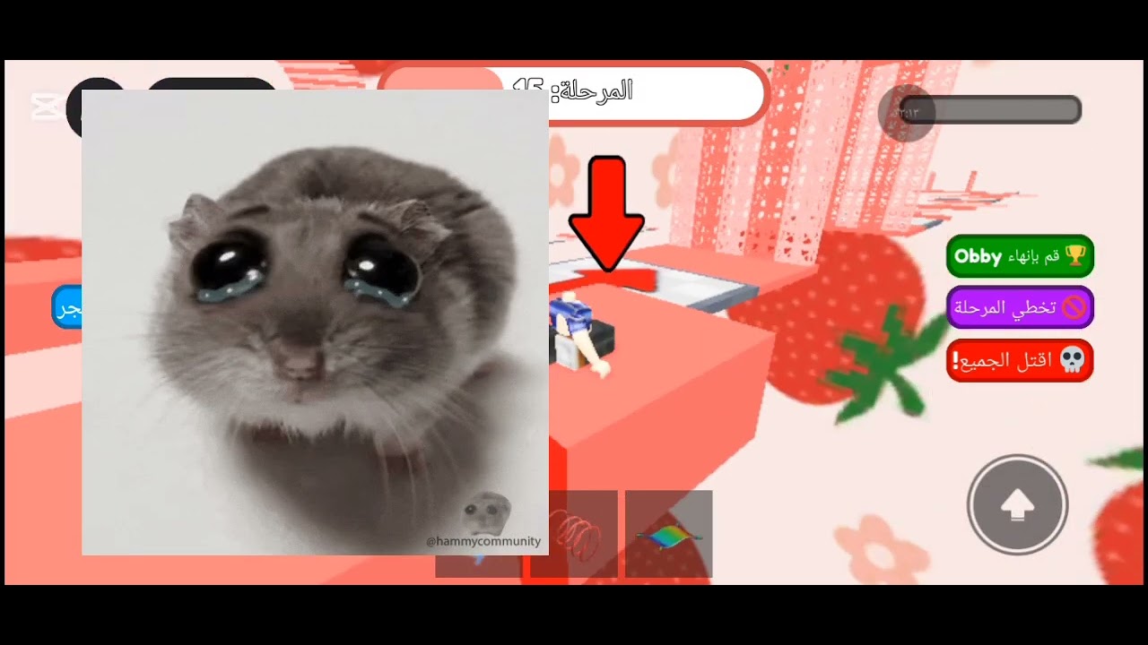 ماب الفراوله 