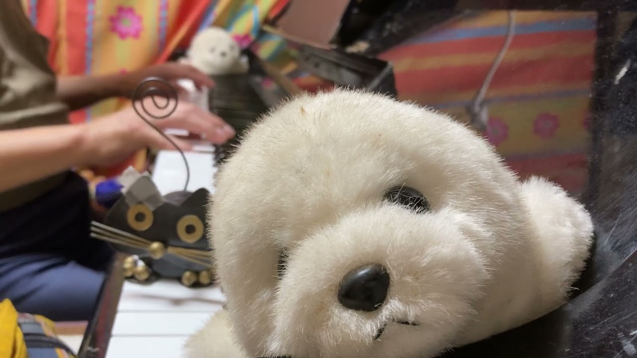 381 White seal kid and black kitten want to eat delicious chicken steak 1m50s