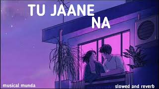 TU JAANE NA [SLOWED AND REVERBSONG]      ~Atif Aslam| late-night lofi song