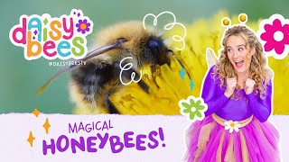 Daisy Bees: The Honey-Making Adventure | Magical Fun for Preschool Learning