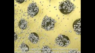 Pepsodent Sensitive Expert