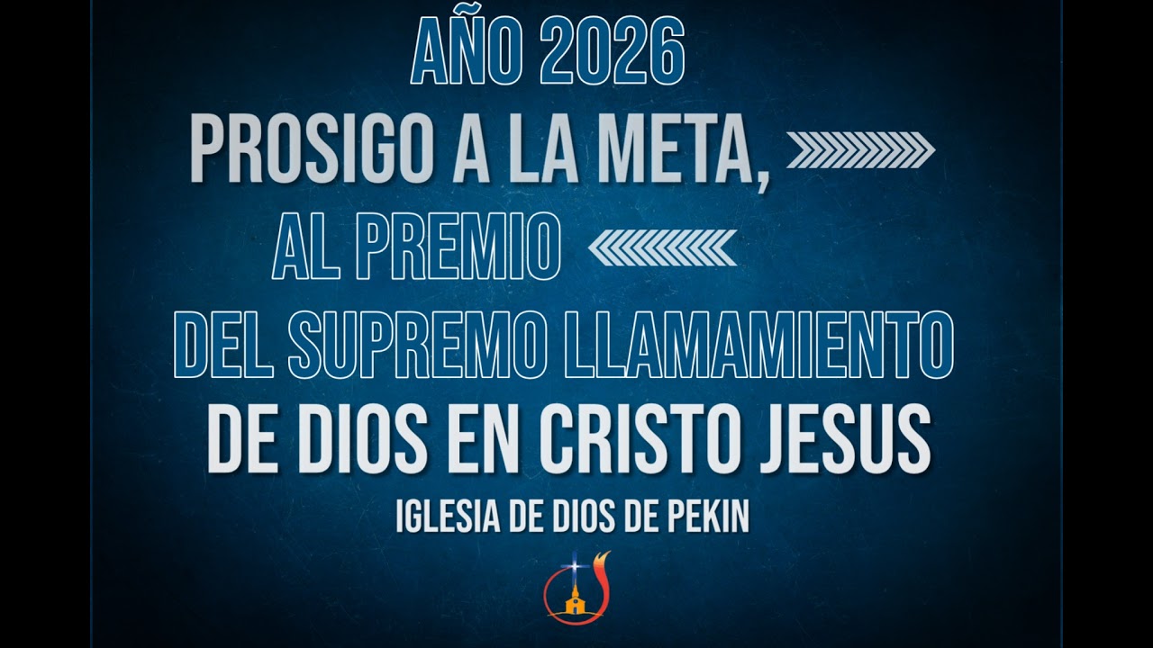 Habitos Saludables  // Yazmin Martinez