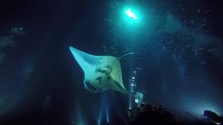 GOPR0099