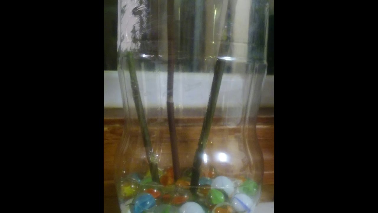 orquideas  reproducion de keikies