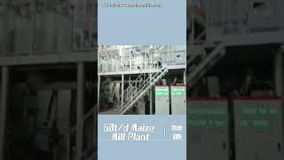 60TPD Maize Flour Milling Plant: Industrial Engineering by VOSON