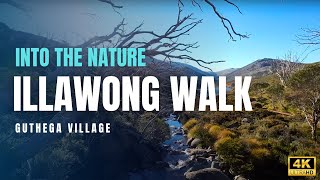 EASY AND SCENIC HIKE IN AUSTRALIA | ILLAWONG WALK | COMPLETE SILENT HIKE | 2024 | 4K