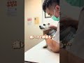 ぴょんぴょん歩くワンちゃん🐶ゴッドハンドで治します!#shorts
