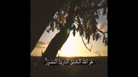 استوريات انستا دينيه حالات واتس اب قران كريم |ارح مسمعك❤ء