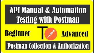 API Testing 04  Postman Collection & Authorization