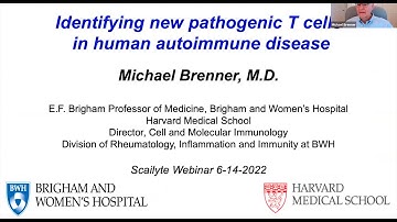 Identifying New Pathogenic T Cells by Prof Michael Brenner, Harvard Medical School