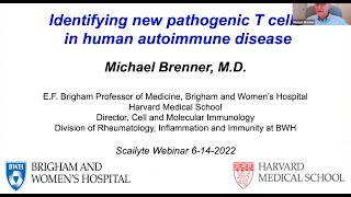 Identifying New Pathogenic T Cells by Prof Michael Brenner, Harvard Medical School