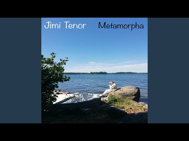 Jimi Tenor - Dawn Of The Sky Train