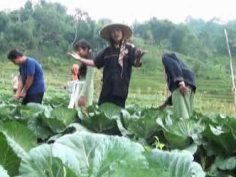 MICINTA DESA - LEUNYAY ASGAR