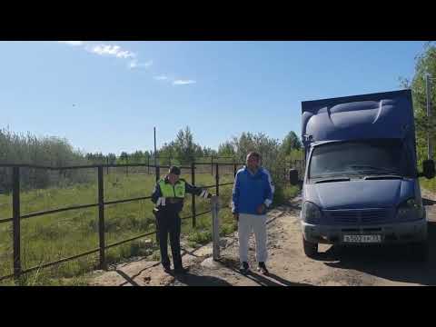 video 2023 05 17 14 49 18