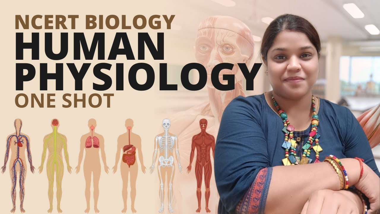 Human Physiology | One Shot | Line by Line | Class 11 | NCERT | NEET ...