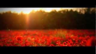 Faithless - Crazy English Summer [HD]