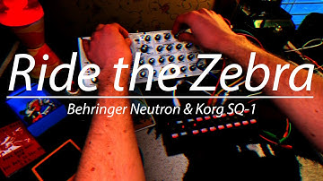 Neutron SQ-1 Polyrhythm Techno Jam