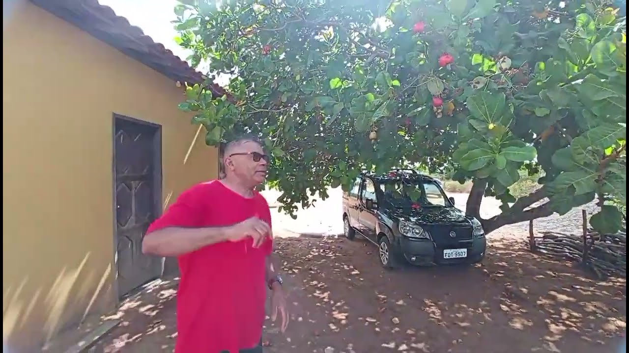 Frutas do nordeste, época boa 
