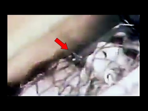 The Clearest Video Of The Varginha Brazil Alien Was Just Released...