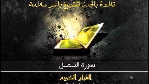 سورة النمل بالحدر للشيخ ياسر سلامة :: Sūra XXVII.: Naml, or the Ants.