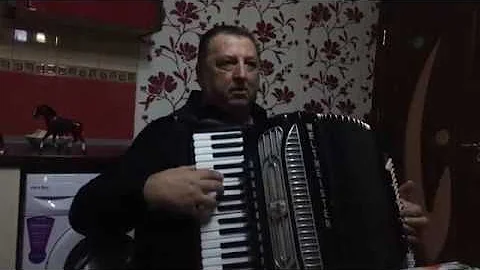 NELU BUCUR LA ACORDEON - MOMENTE UNICE