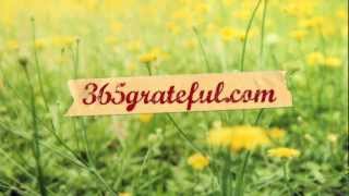 365 grateful