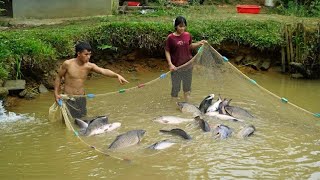 Ha's journey to buy land: Pao has sold all his fish to scrape together the funds
