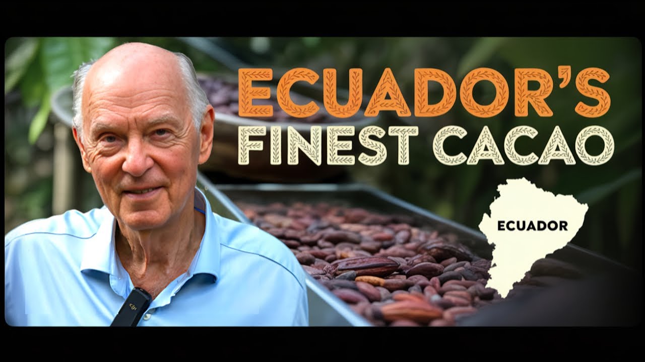 La Pepa de Oro: Chocolate Fino de Aroma en Yachana Lodge 🍫