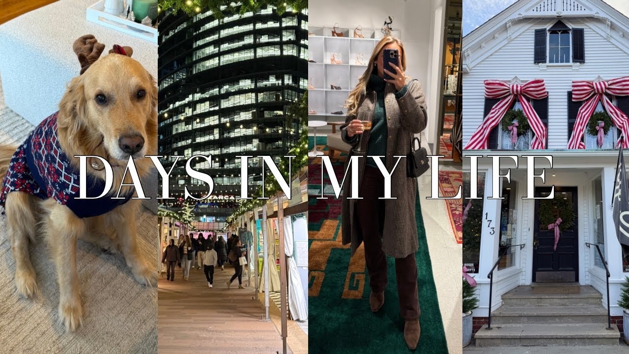 VLOG: Неделя в Бостоне в моей жизни, снежный порт, мероприятие Циммермана и т. д.!