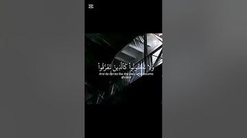 الآيتين 104-105 {سورة آل عمران} للشيخ محمد اللحيدان