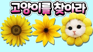 고양이가 없어졌어요 고양이를 잃어버린 친구에게 모든 냥이를 찾아주고 파티를 즐기세요 로블록스 꿀잼 고양이와 함께하는 미스터리 숨바꼭질 게임 Find The Cats [아려랑] screenshot 2