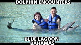 Dolphin Encounters - Bahamas Blue Lagoon - Royal Dolphin Swim - 2019
