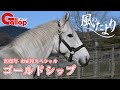 【風のたより お正月スペシャル】ゴールドシップ