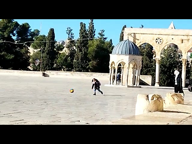 מול תחנת משטרה: ערבים משחקים כדורגל ברמה המוגבהת בהר הבית בניגוד לחוק