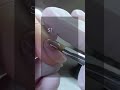 Enhance Shades - Cool White Demo
