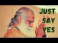 Sadhguru - Go wherever you want to go but steady!