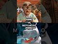 NANA [PRIME] VS MOTO MOTO [PRIME] #shorts #meme #edit #vs #dreamworks #shortvideo #fyp