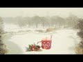 ❄️  Brrrr, It's Cold Outside|ASMR Relaxing Winter Snow Falling and Wind Blowing at Turtle Pond, NYC