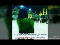 اجمل قصيدة مجنونك عمار الكناني