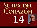 14-Antídoto al Apego y al Rechazo-Sutra del Corazón-Dalai Lama