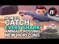 How to Catch the Great White Shark & More in Animal Crossing: New Horizons