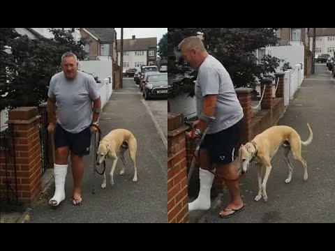 After £ 300 At The Vet, The Man Realizes That His Lame Dog Was Only Imitating Him