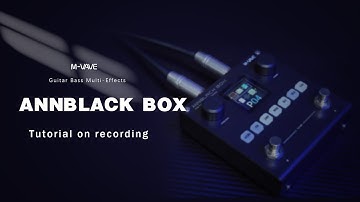M-VAVE ANN BLACK BOX PC Internal Recording Tutorial