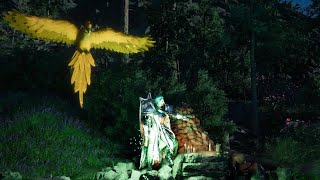 End of the Shadow: Assassinate 5 enemies at night – Challenge | Crimson Desert PS5