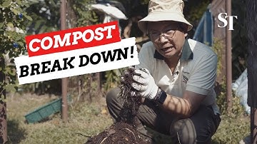 Getting to grips with community composting