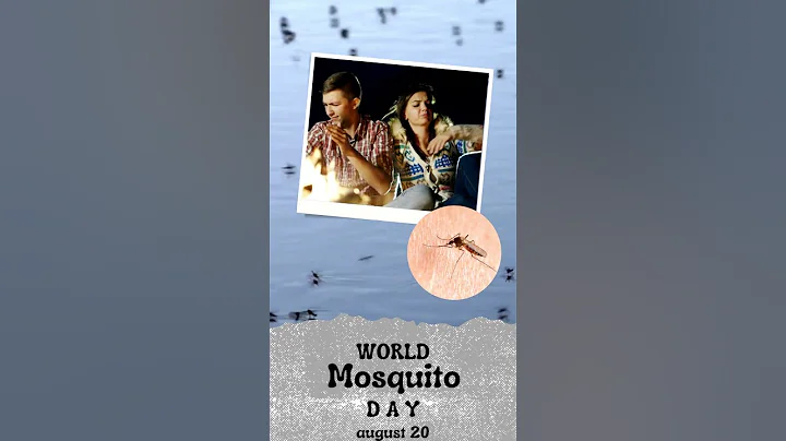 World Mosquito Day - August 20