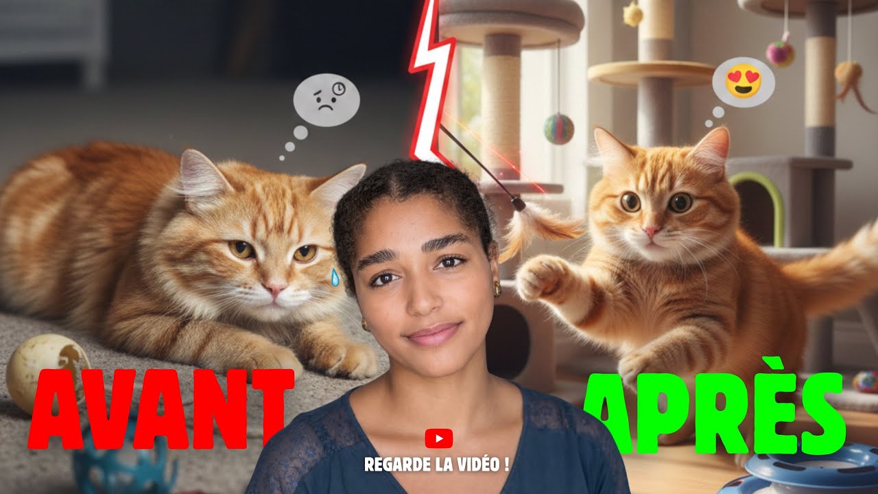 3 INDISPENSABLES POUR QUE TON CHAT NE S’ENNUIE PLUS JAMAIS